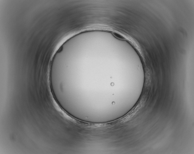 X0000112471390200908170941