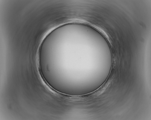 X0000112471391200908170941
