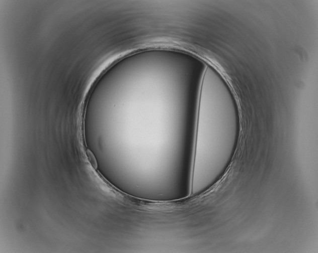 X0000112471392200908170941
