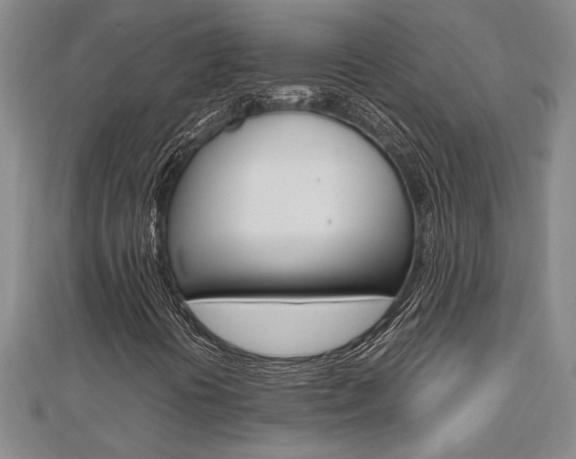 X0000112471394200908170940