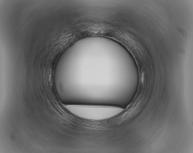 X0000112471396200908170940