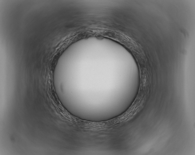 X0000112471397200908170940