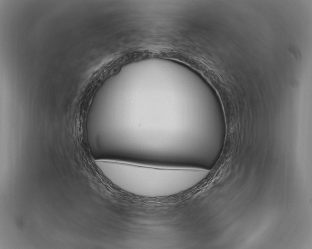 X0000112471398200908170940