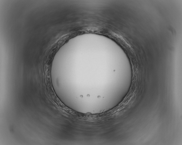 X0000112471399200908170940