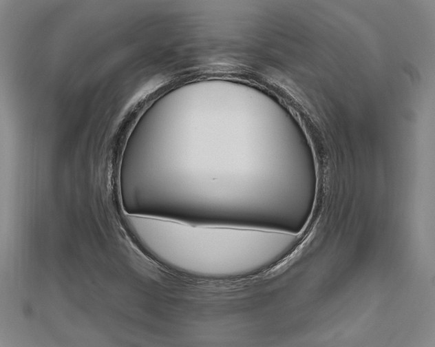 X0000112471402200908170940