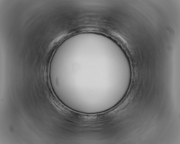 X0000112471403200908170940