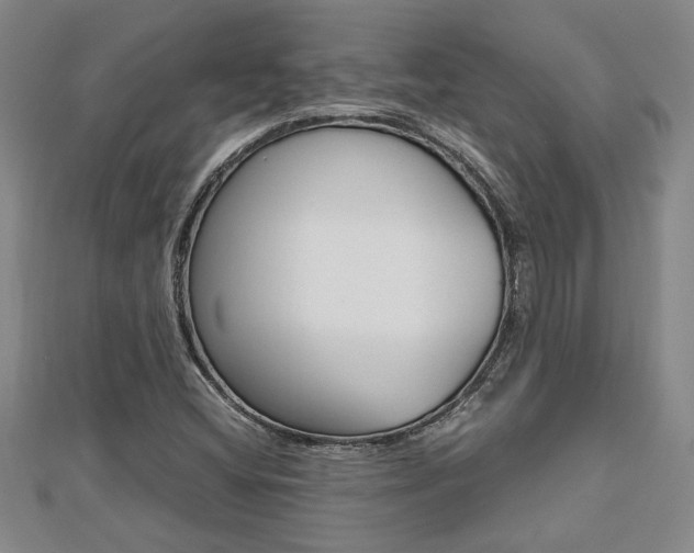 X0000112471404200908170940