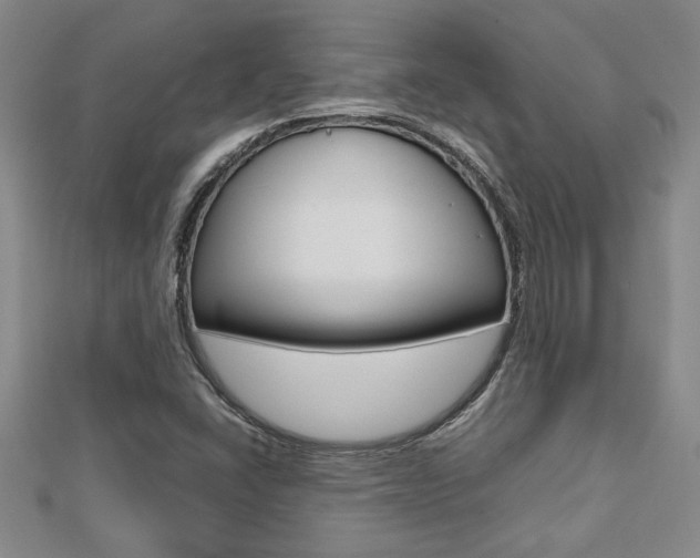 X0000112471406200908170940