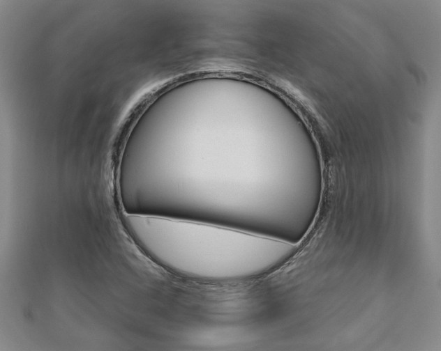 X0000112471408200908170941