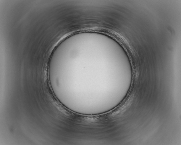 X0000112471409200908170941