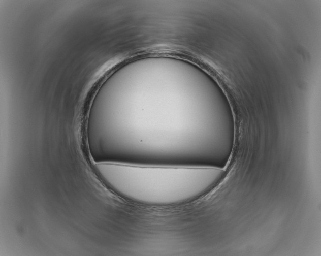X0000112471410200908170941
