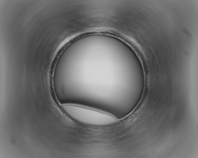 X0000112471412200908170941