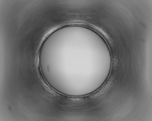 X0000112471413200908170941