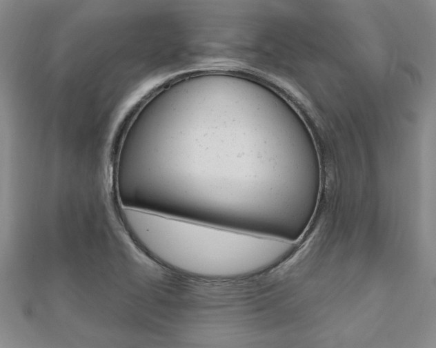 X0000112471414200908170941