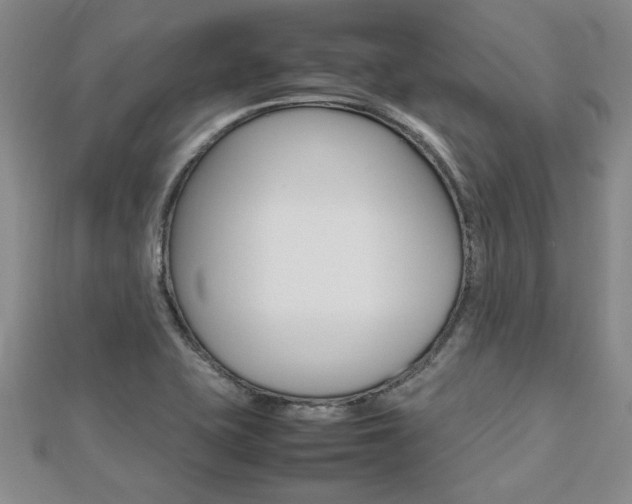 X0000112471415200908170941