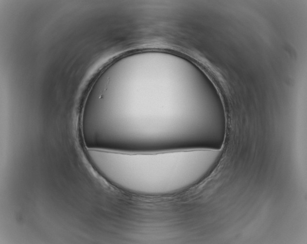 X0000112471416200908170941