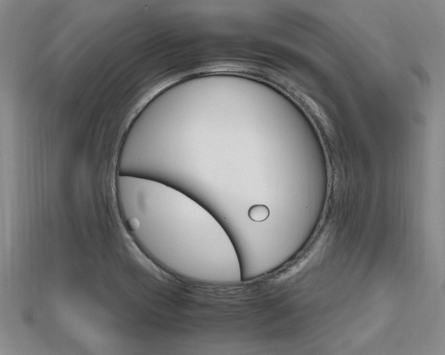 X0000112471417200908170941