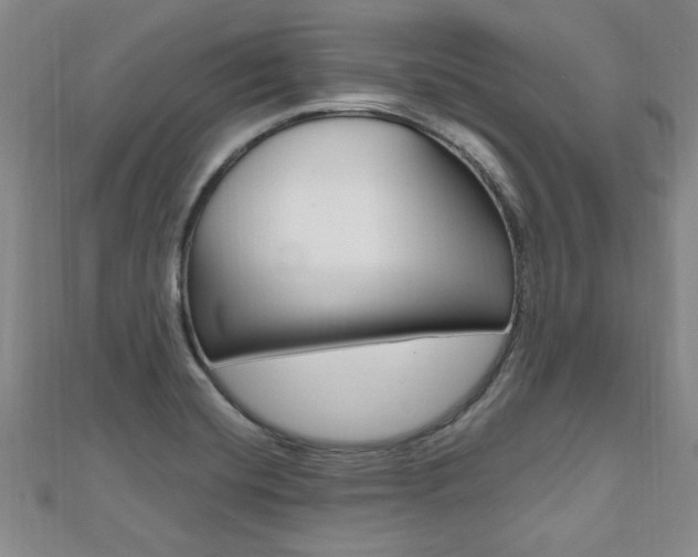 X0000112471420200908170941