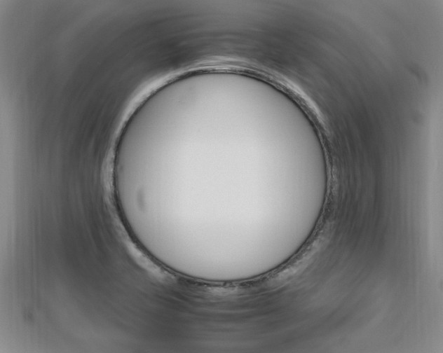 X0000112471421200908170941