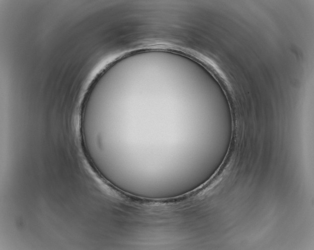 X0000112471424200908170941