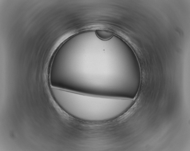 X0000112471426200908170941