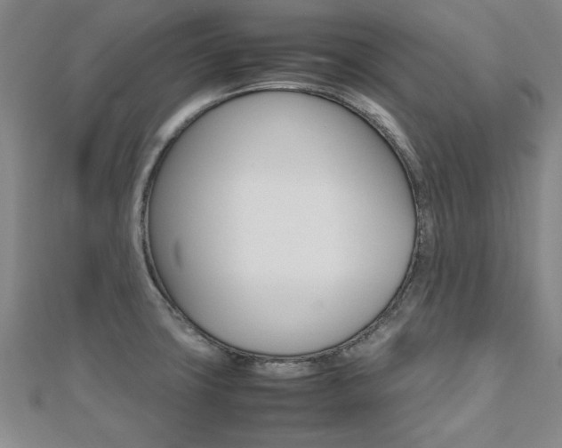X0000112471427200908170941