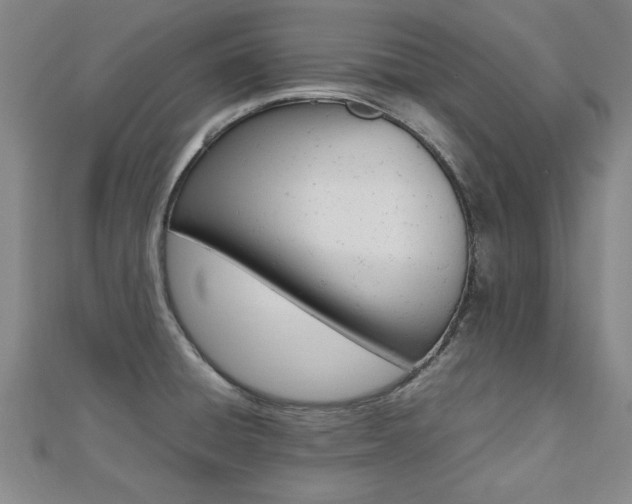 X0000112471428200908170941