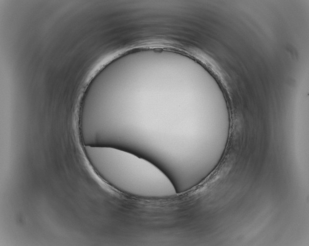 X0000112471429200908170941