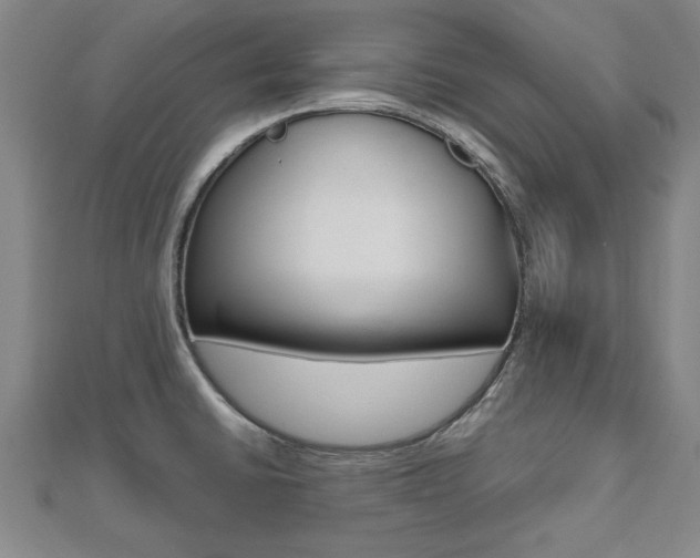X0000112471430200908170941