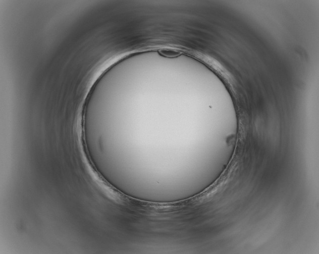 X0000112471431200908170941
