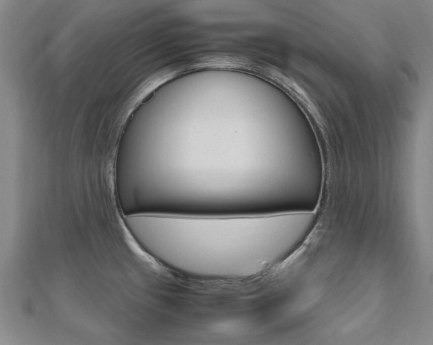 X0000112471433200908170941