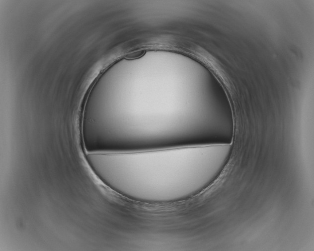 X0000112471434200908170941