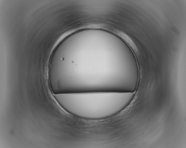 X0000112471436200908170941
