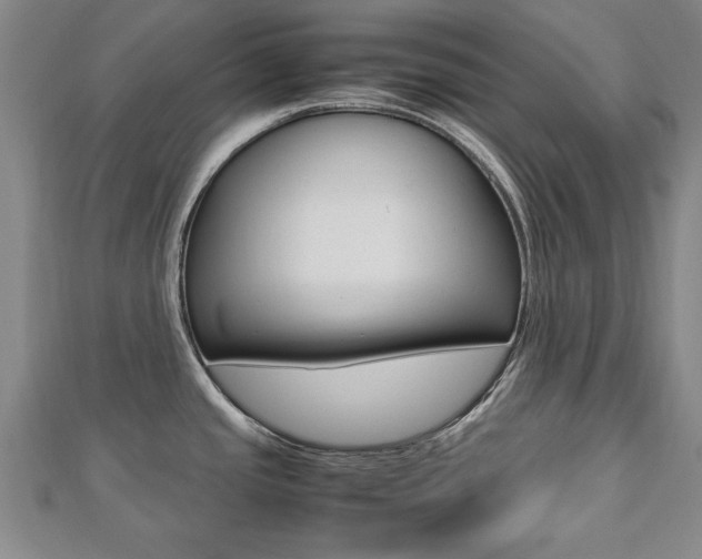 X0000112471437200908170941