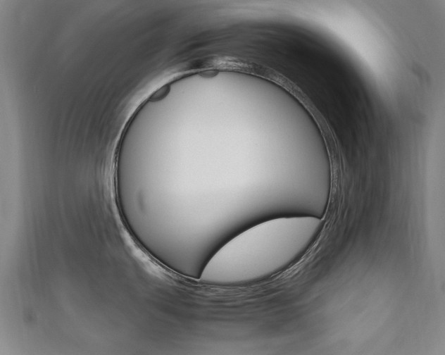 X0000112471439200908170941