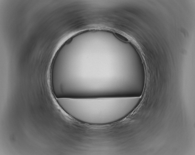 X0000112471440200908170941