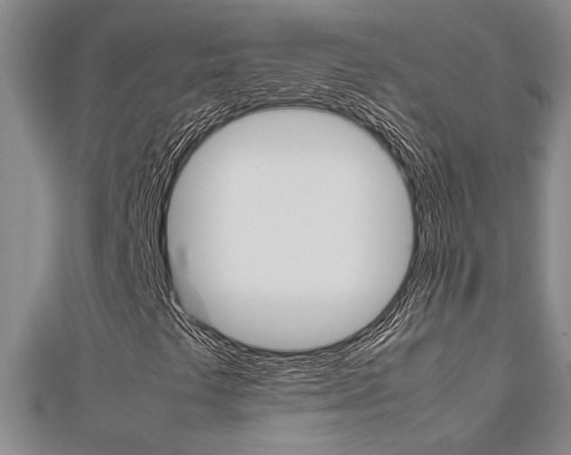 X0000112471441200908170940