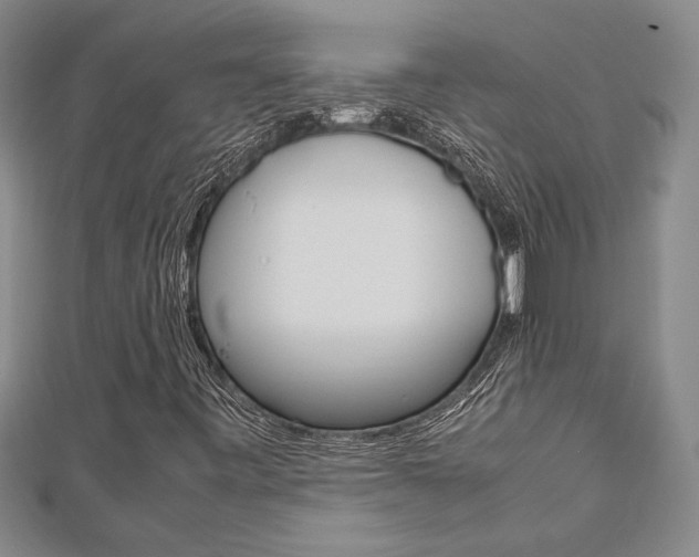 X0000112471443200908170940