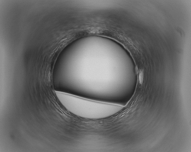 X0000112471444200908170940
