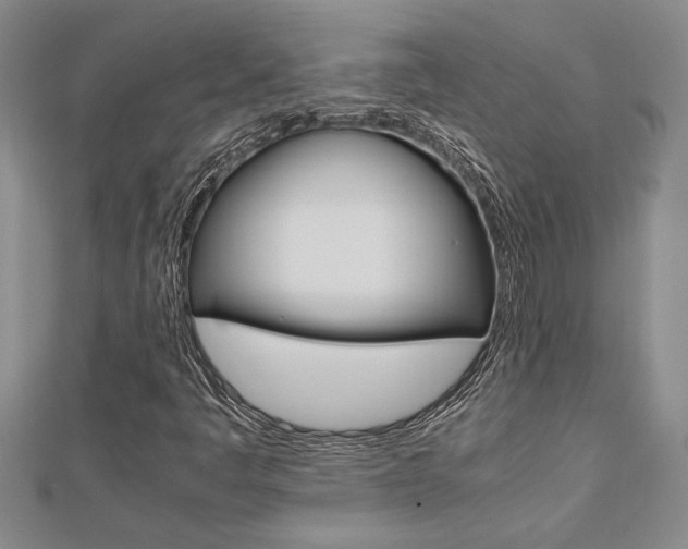 X0000112471445200908170940