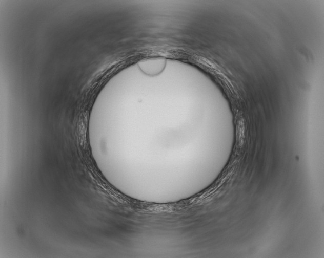 X0000112471446200908170940
