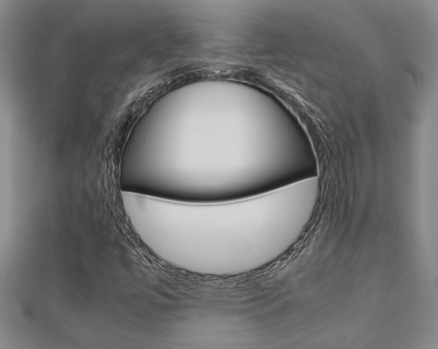 X0000112471447200908170940