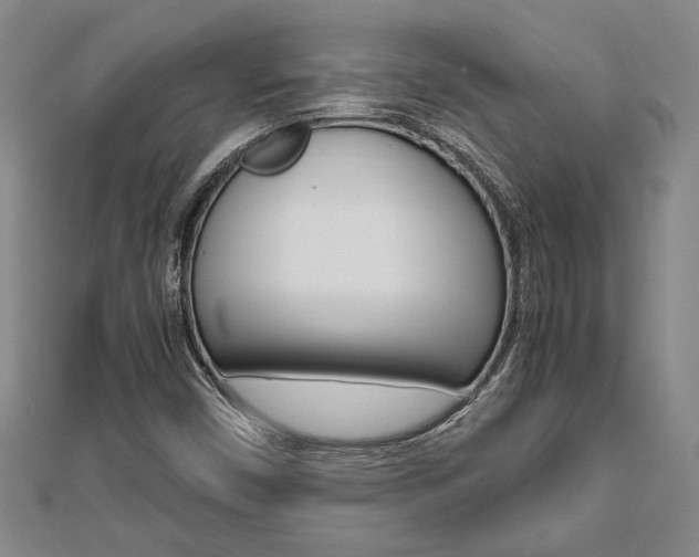 X0000112471450200908170940
