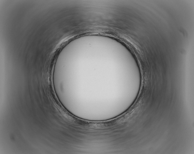 X0000112471451200908170940