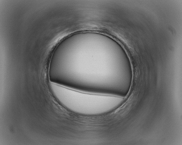 X0000112471455200908170940