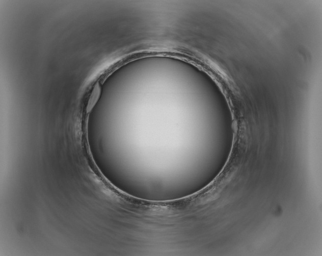 X0000112471456200908170940