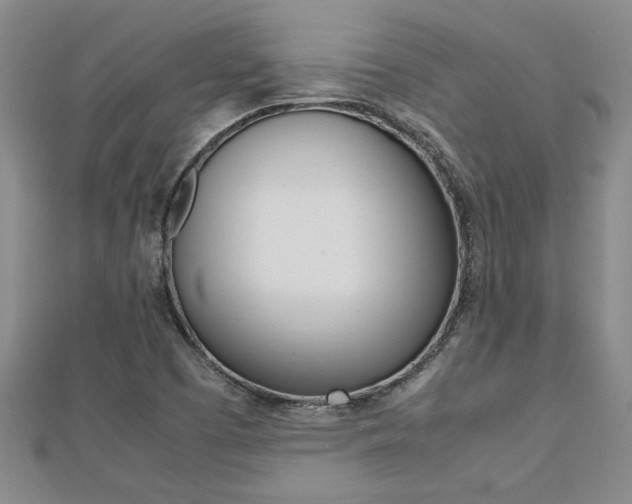 X0000112471457200908170940