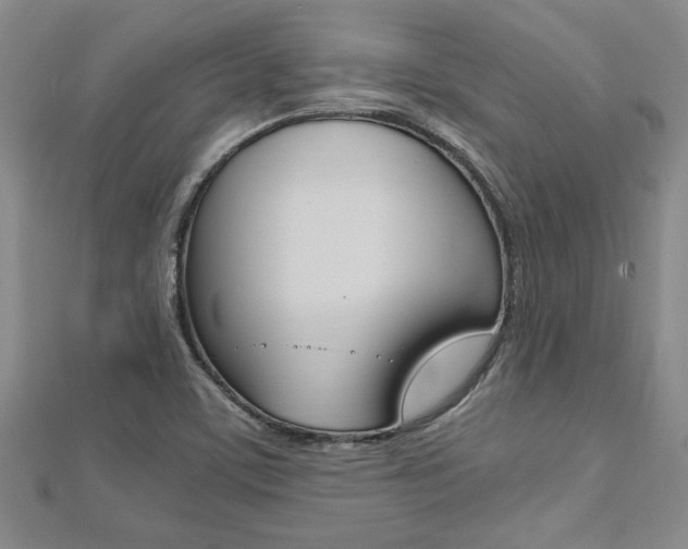 X0000112471459200908170940