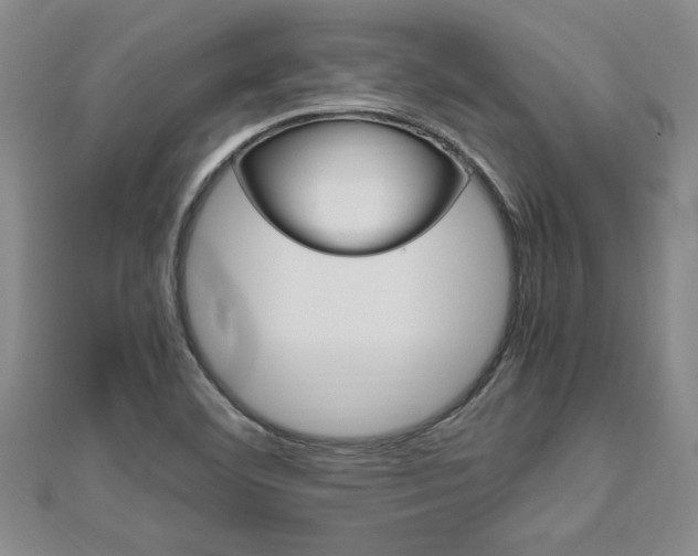 X0000112471460200908170940