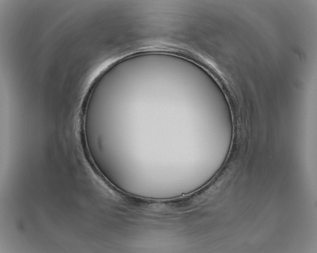 X0000112471463200908170940